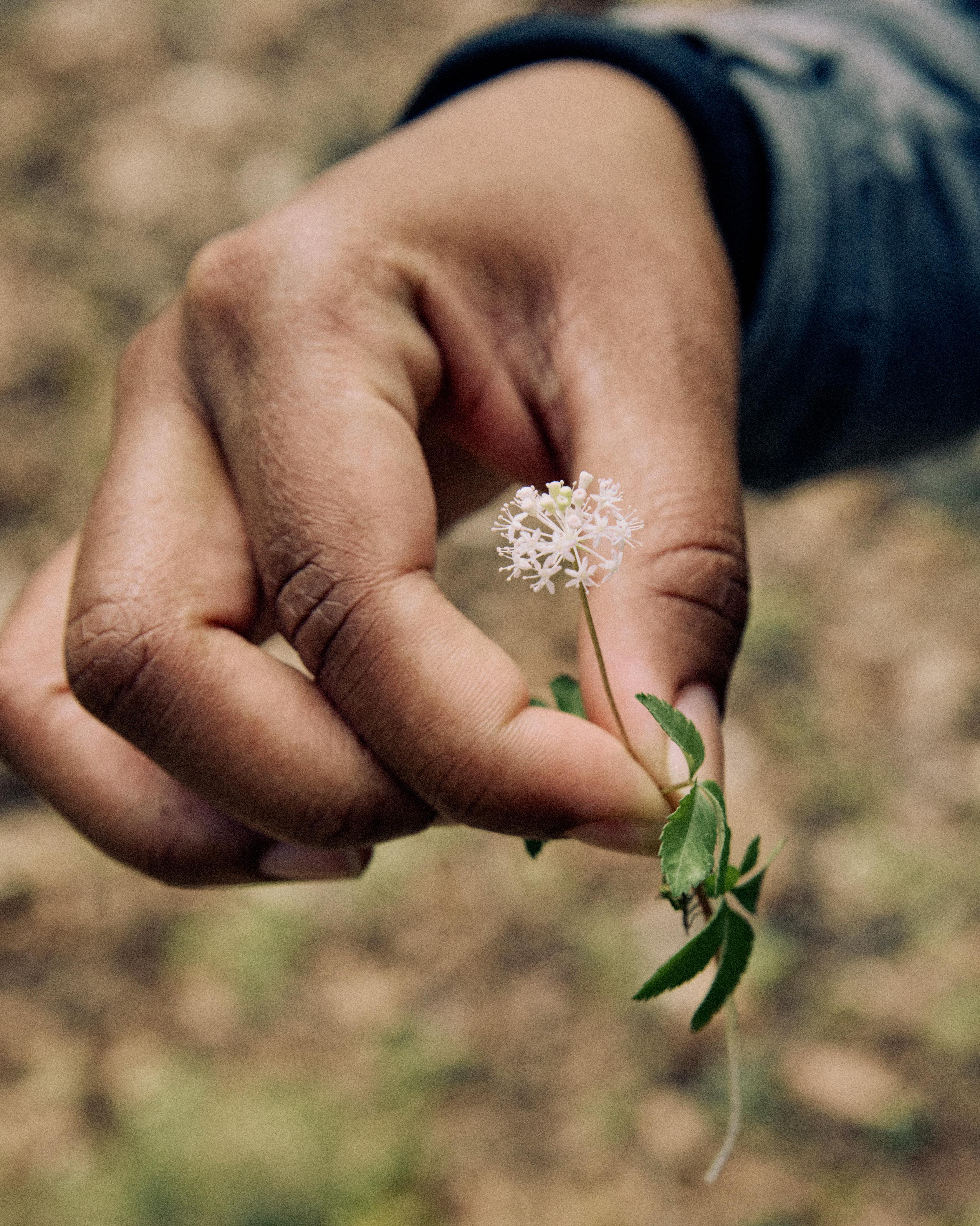 Happy Spring from Outlandish Cofounder