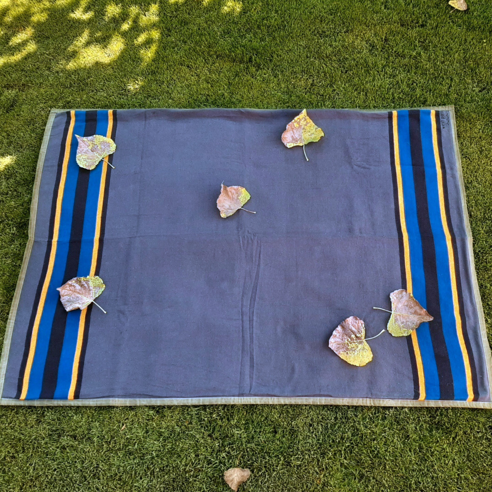West Path Blue Waterproof Blanket