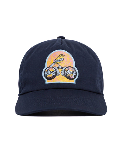 Parks Project x Audubon Patch Hat