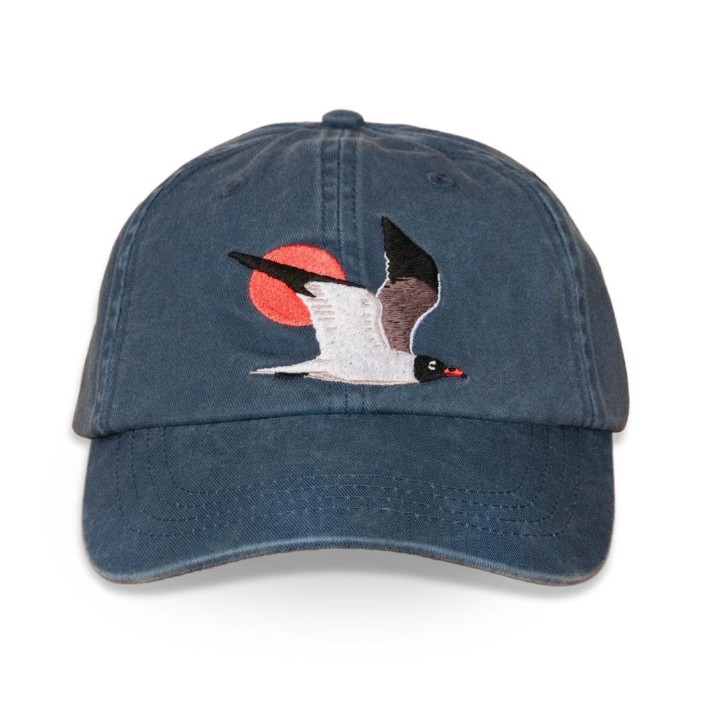 Bird Collective Laughing Gull Washed Hat
