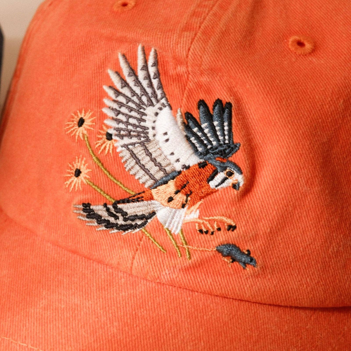 Bird Collective American Kestrel Washed Hat