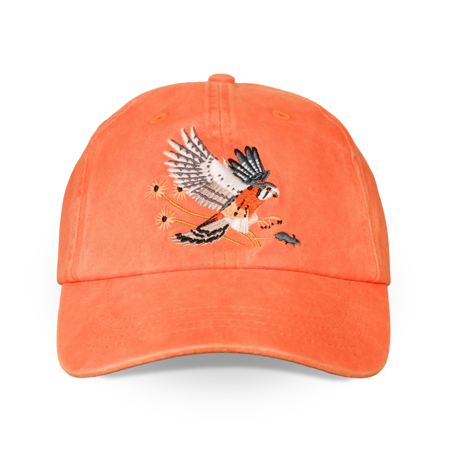 Bird Collective American Kestrel Washed Hat